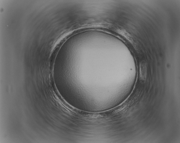 X0000057101452200509301604