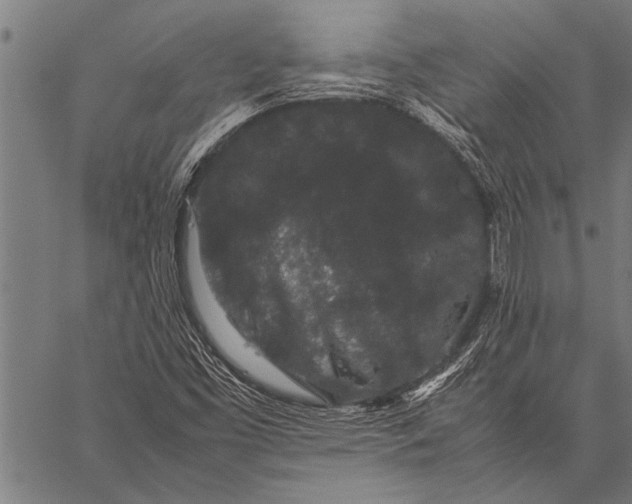 X0000057101453200509301604