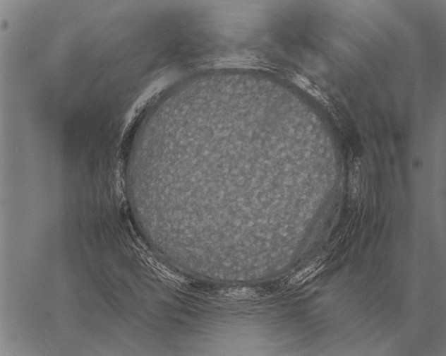 X0000057101454200509301604