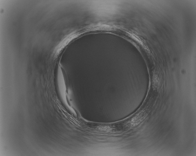 X0000057101455200509301604