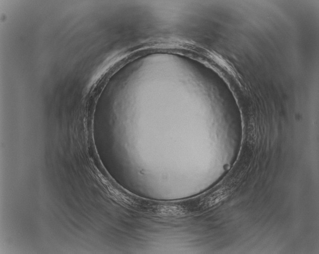 X0000057101456200509301604