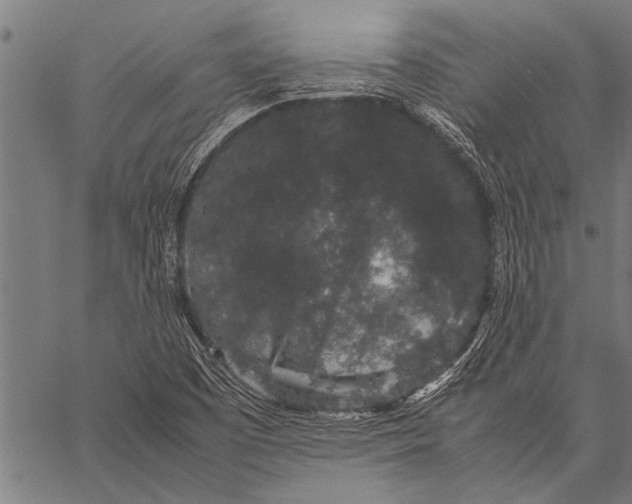 X0000057101457200509301604