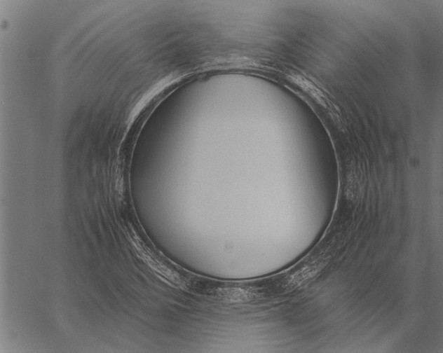 X0000057101458200509301604