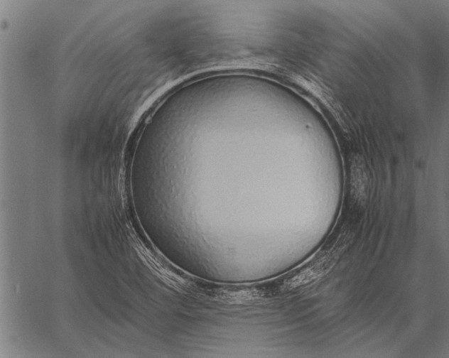 X0000057101460200509301604