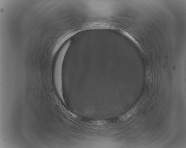 X0000057101461200509301604