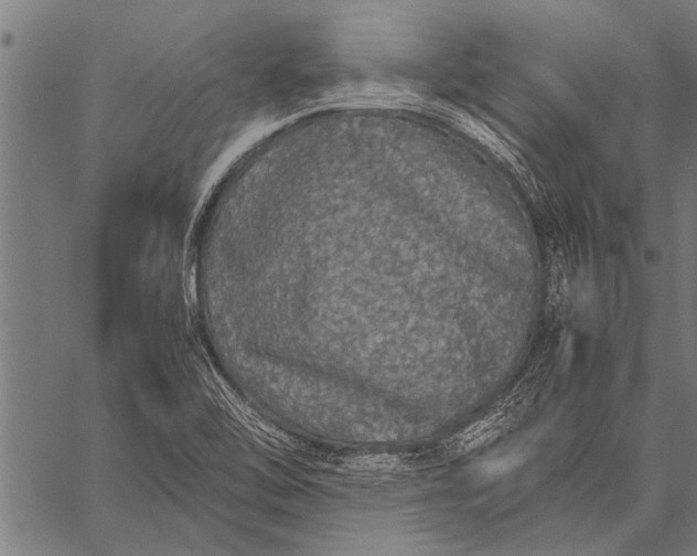 X0000057101462200509301604