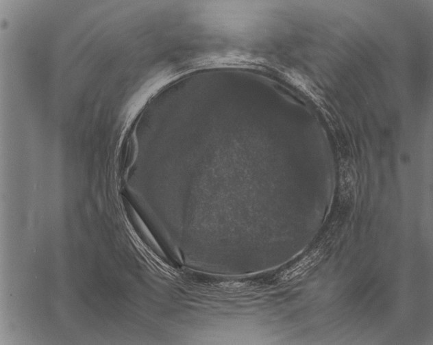 X0000057101463200509301604