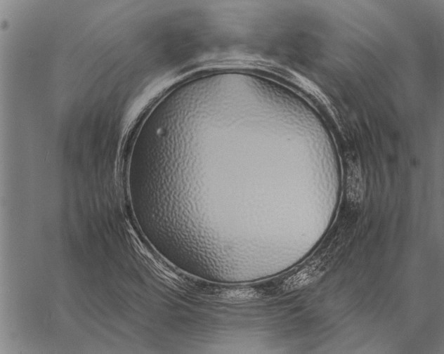 X0000057101464200509301604