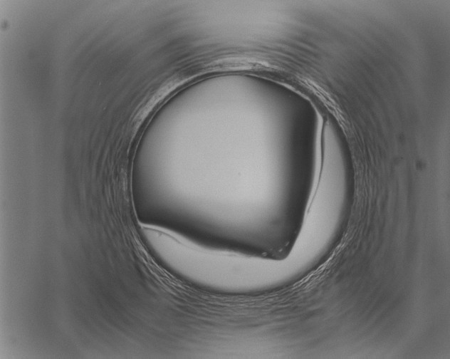 X0000057101465200509301604