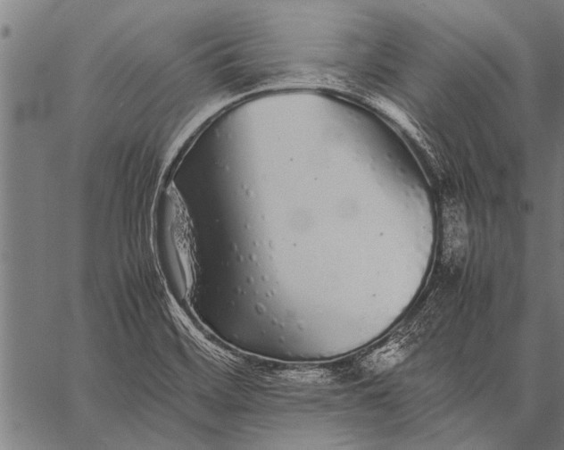 X0000057101468200509301604