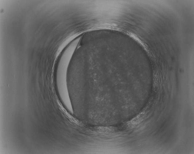 X0000057101469200509301604