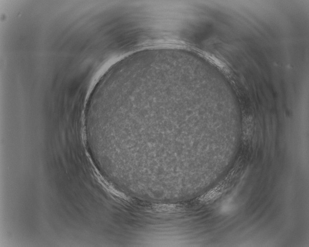 X0000057101470200509301604