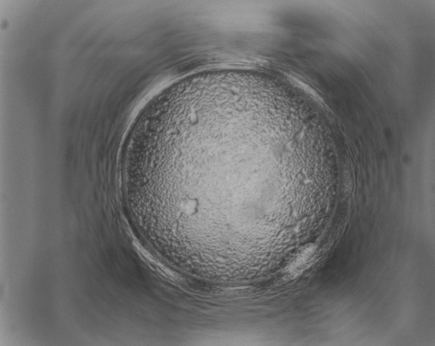 X0000057101471200509301604