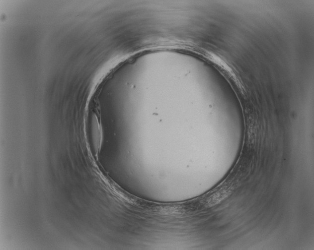 X0000057101472200509301604