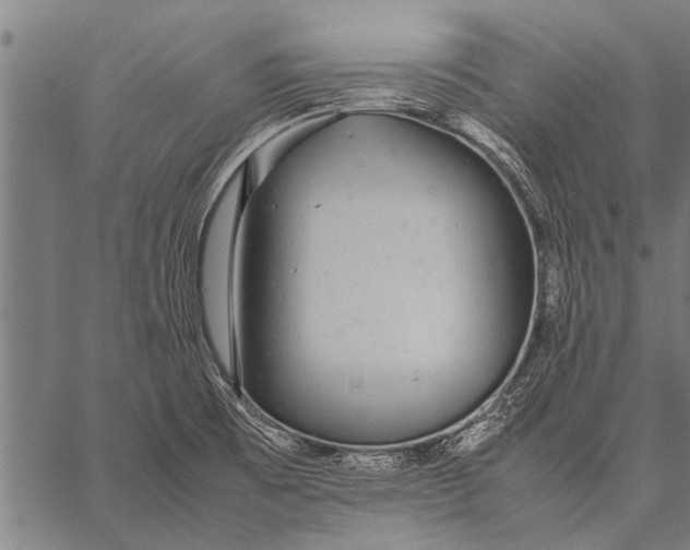 X0000057101473200509301604