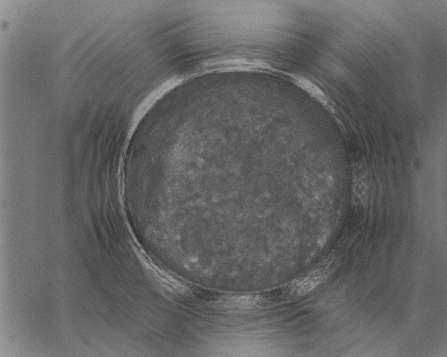 X0000057101474200509301604