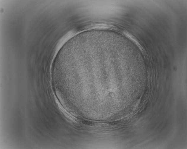 X0000057101475200509301604