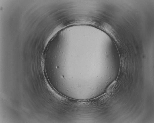 X0000057101476200509301604