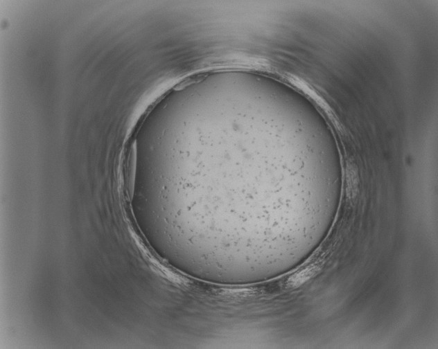 X0000057101477200509301604