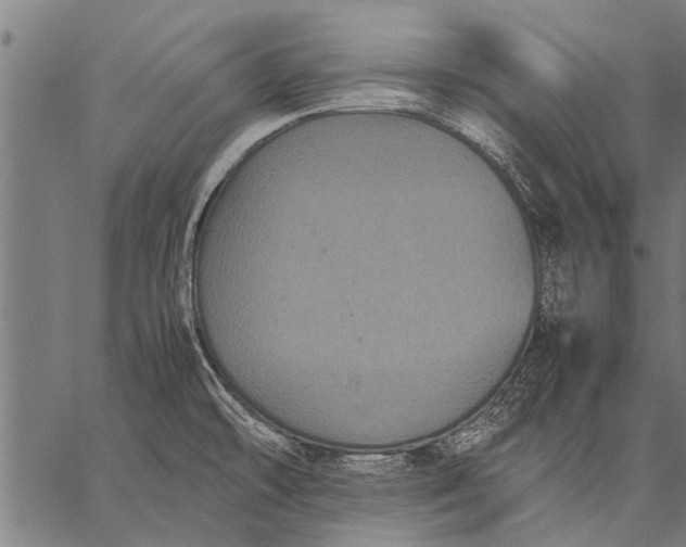 X0000057101478200509301604