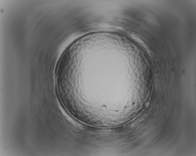 X0000057101479200509301604