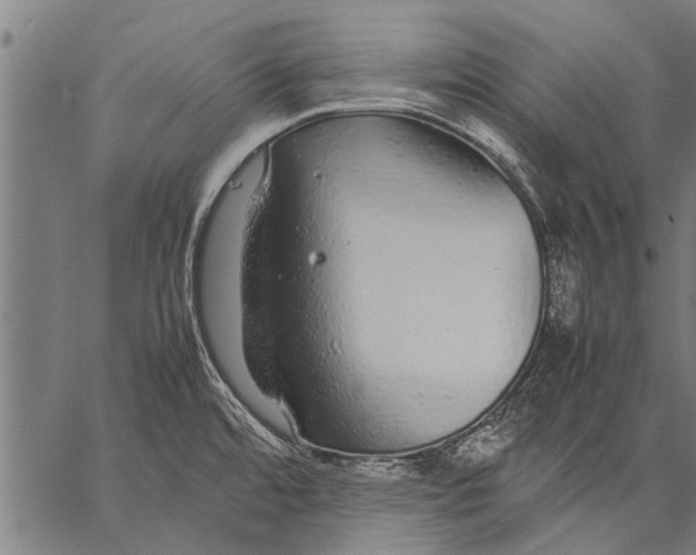 X0000057101480200509301604