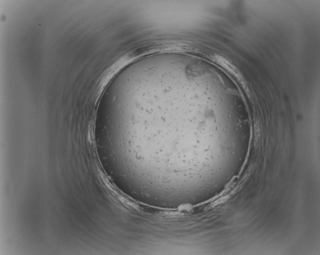 X0000057101481200509301604