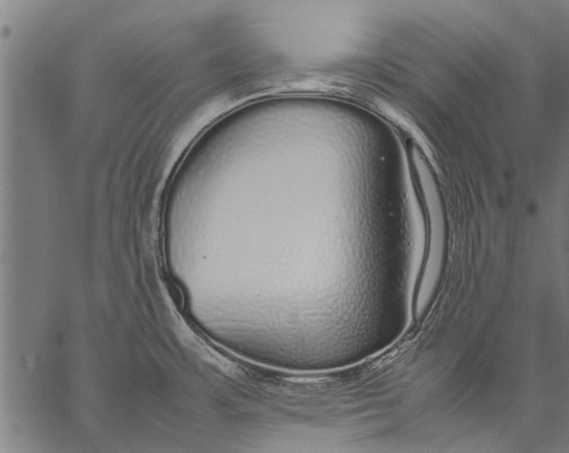 X0000057101483200509301604