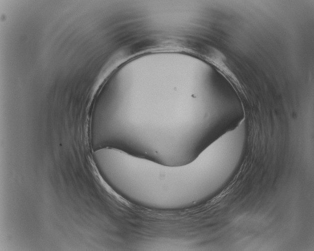 X0000057101484200509301604