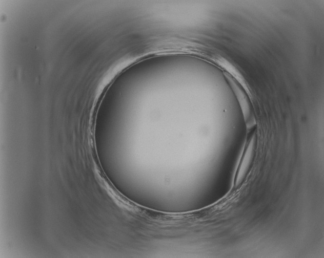 X0000057101485200509301604