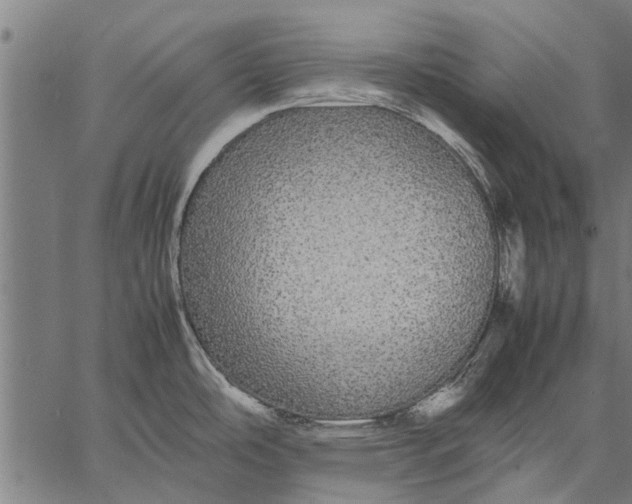 X0000057101486200509301604