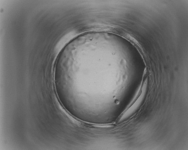 X0000057101487200509301604