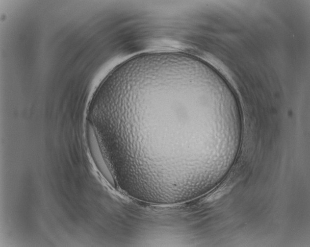 X0000057101488200509301604