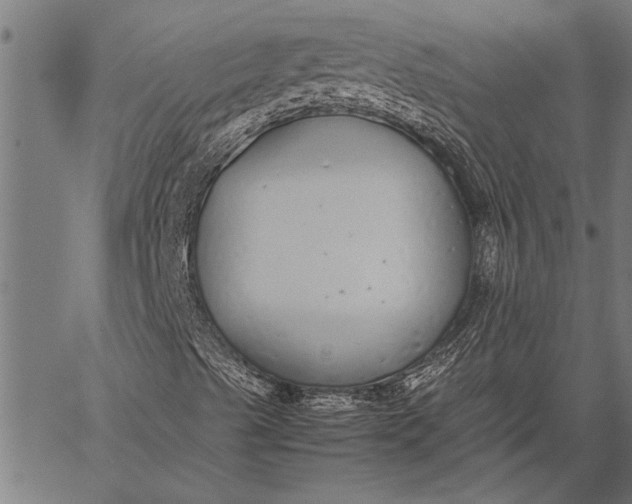 X0000057101489200509301603