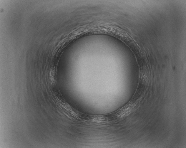 X0000057101490200509301603