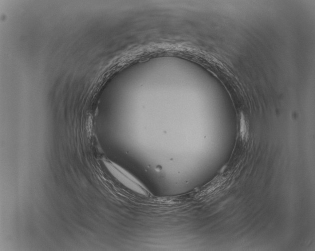 X0000057101492200509301603