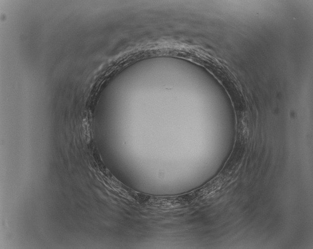 X0000057101493200509301603