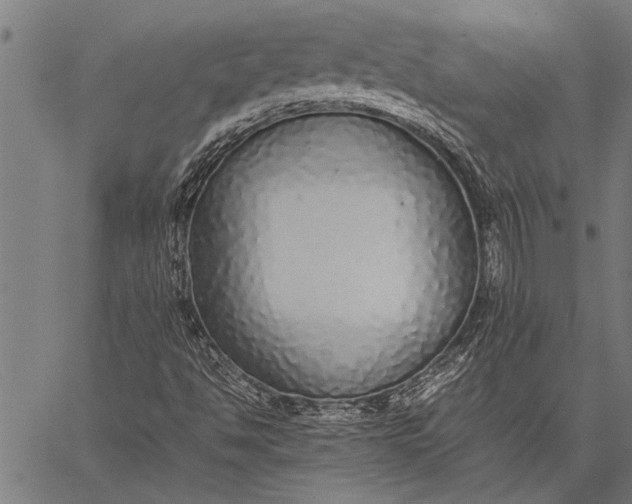 X0000057101494200509301603