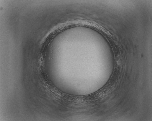 X0000057101495200509301603