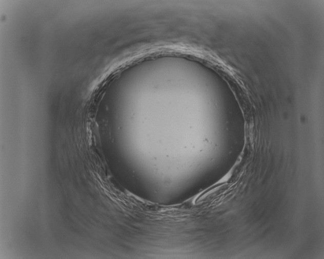 X0000057101496200509301603