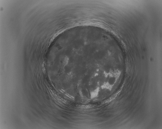 X0000057101497200509301603