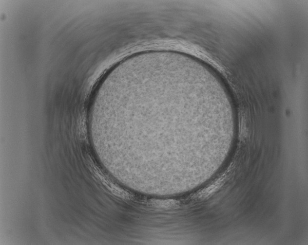 X0000057101498200509301603