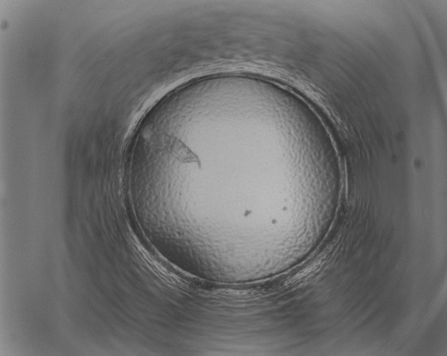 X0000057101500200509301603