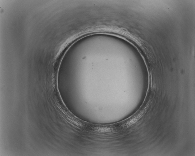 X0000057101501200509301603