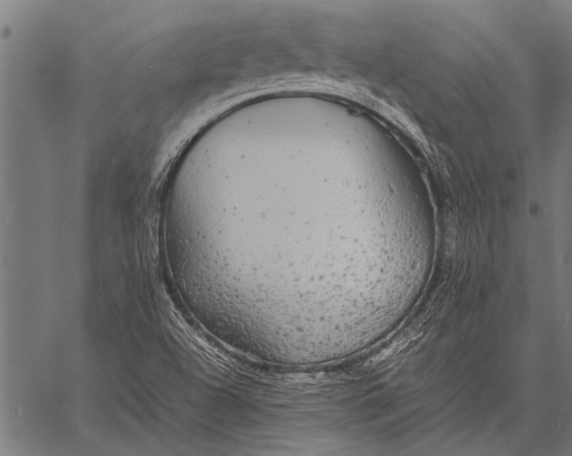 X0000057101504200509301603