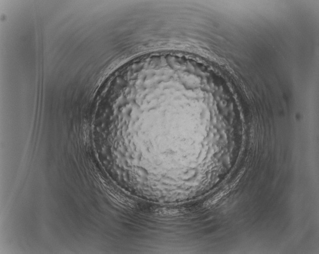 X0000057101505200509301603