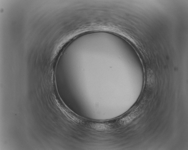 X0000057101507200509301603