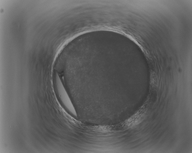 X0000057101508200509301603