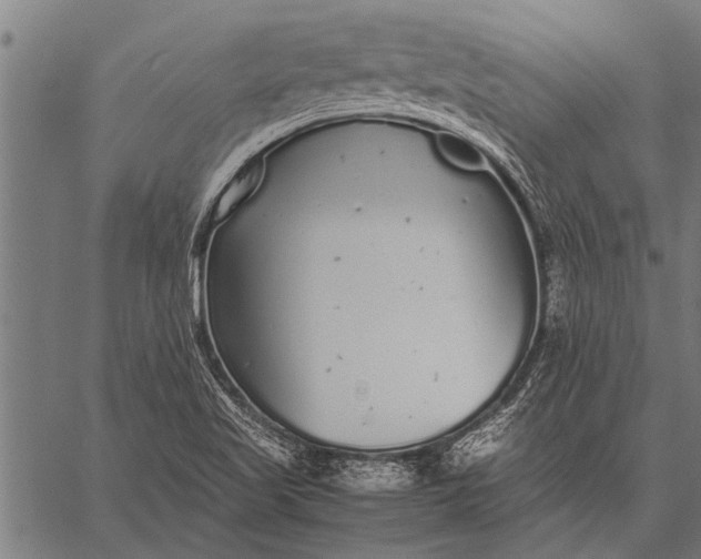 X0000057101509200509301603