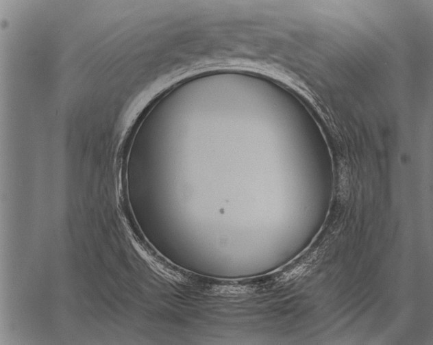 X0000057101511200509301603